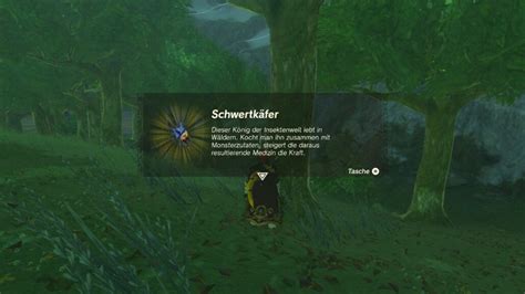 totk schwertkäfer|Schwertkäfer Orte und Effekte｜Zelda: Tears of the Kingdo